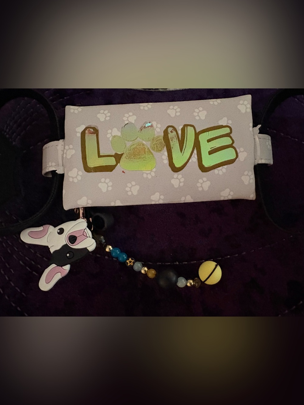 Dog travel water bottle travel bag